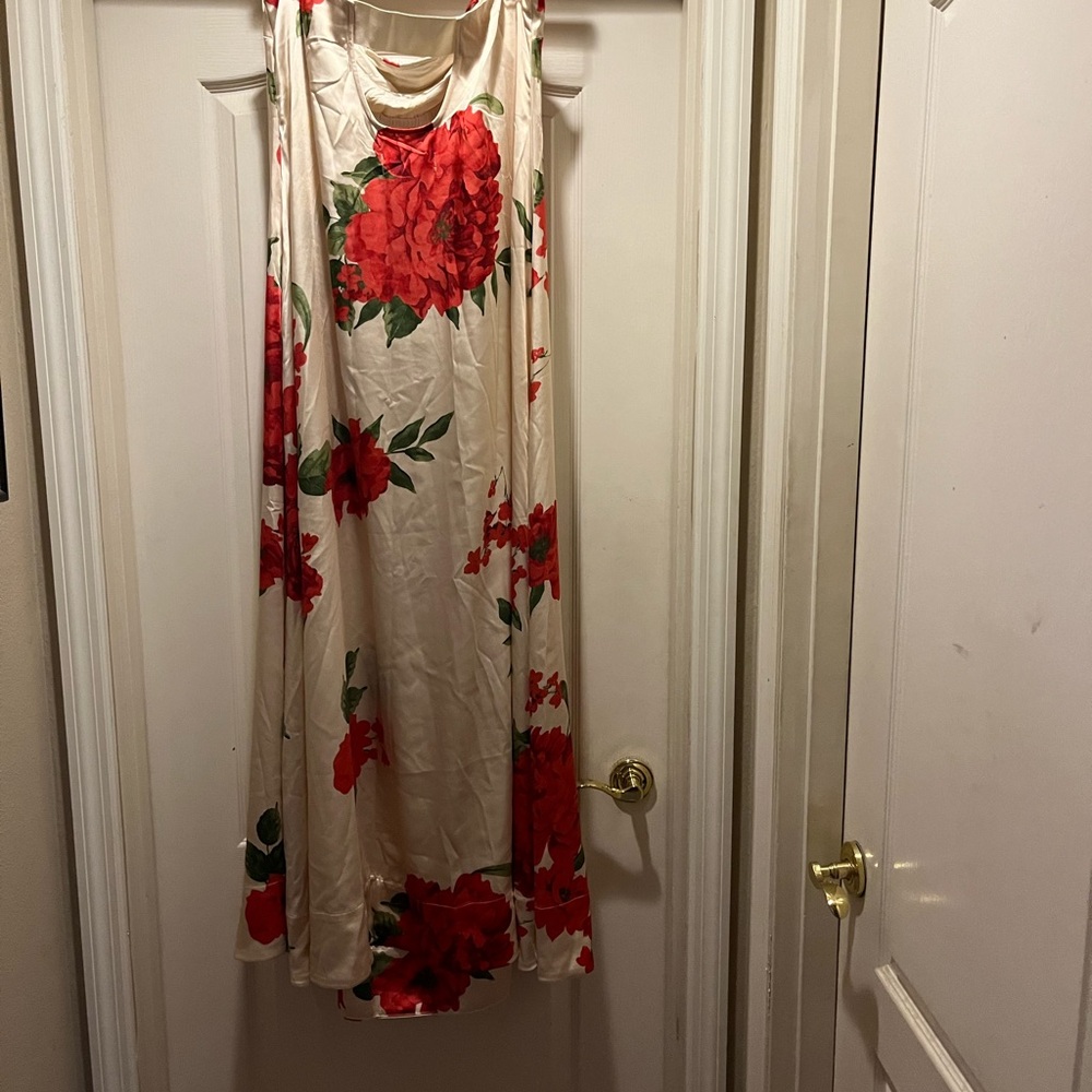 Free People Botanical maxi dress - Picture 3 of 4